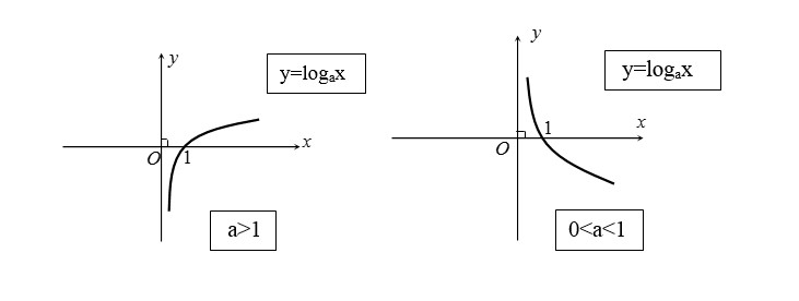 Hectogam Là Gì? Cách Đổi Kilogram Sang Hectogam Chuẩn Xác?