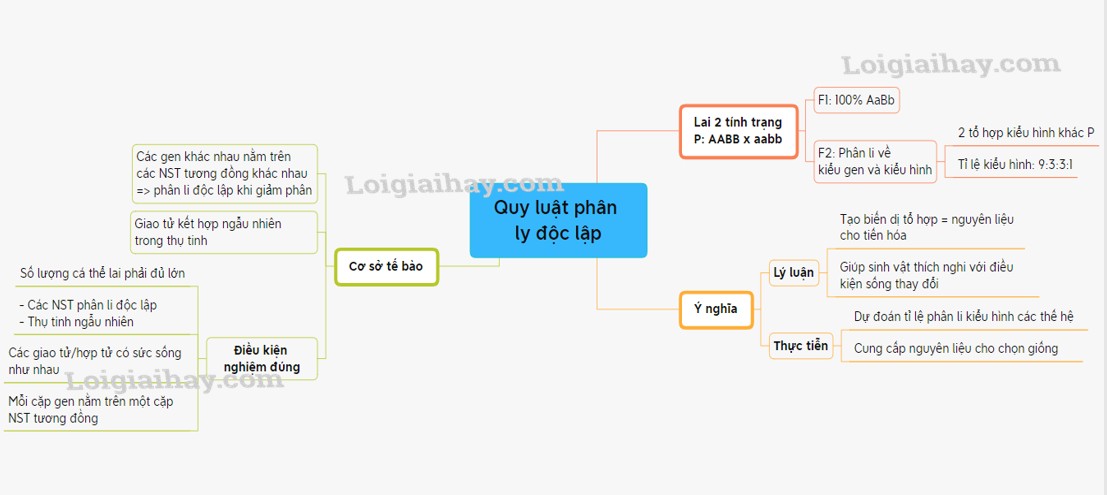 Đừng Quên Làm Bài Tập Về Nhà: Góc Khuất Chăm Sóc Chuyển Giới Trẻ Em Ở Phần Lan?