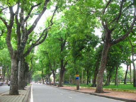 Quá Trình Feralit Là Quá Trình Hình Thành Đất Đặc Trưng Ở Nước Ta Chủ Yếu Do Đâu?