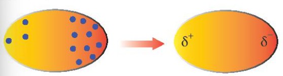 Lực Tương Tác Van Der Waals Là Gì? Ảnh Hưởng & Ứng Dụng Lực Tương Tác Van Der Waals Là Gì? Ảnh Hưởng & Ứng Dụng