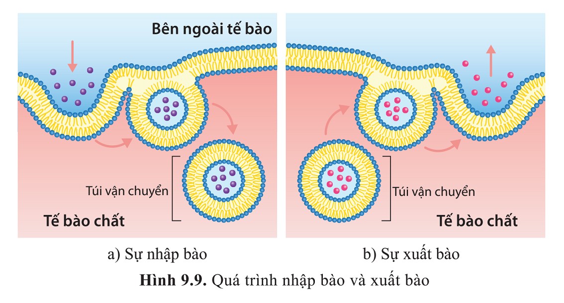 Ai Là Người Cuối Cùng Rời Khỏi Phòng Phải Tắt Đèn: Vì Sao?