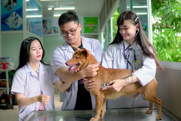 AlCl3 Tên Gọi Là Gì? Tổng Quan Chi Tiết Về Nhôm Clorua