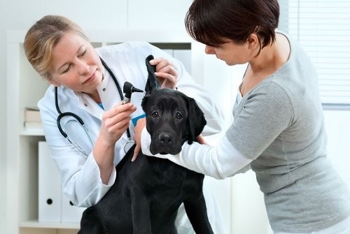AlCl3 Tên Gọi Là Gì? Tổng Quan Chi Tiết Về Nhôm Clorua