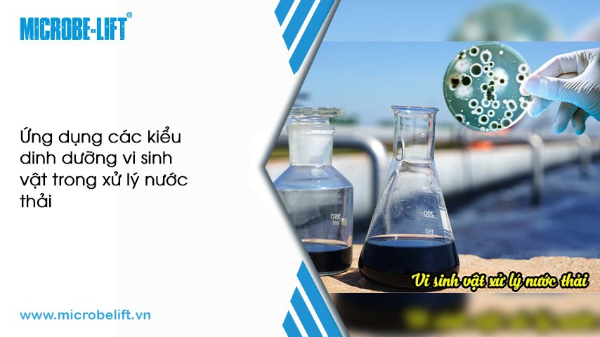Mua Bút Mực và Bút Chì: Cách Chọn, Lưu Ý và Địa Chỉ Mua Uy Tín?
