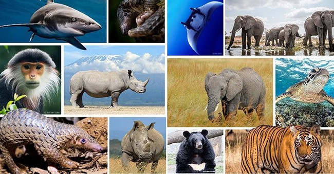 Sau 5 Năm, Con Không Chơi Piano Nữa: Cha Mẹ Nên Làm Gì?