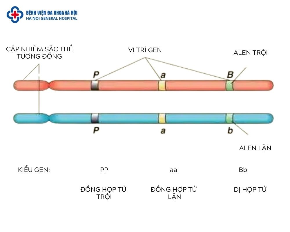 Điều Nào Dưới Đây Không Đúng Về Sự Giống Nhau Giữa Đường Và Lipid?