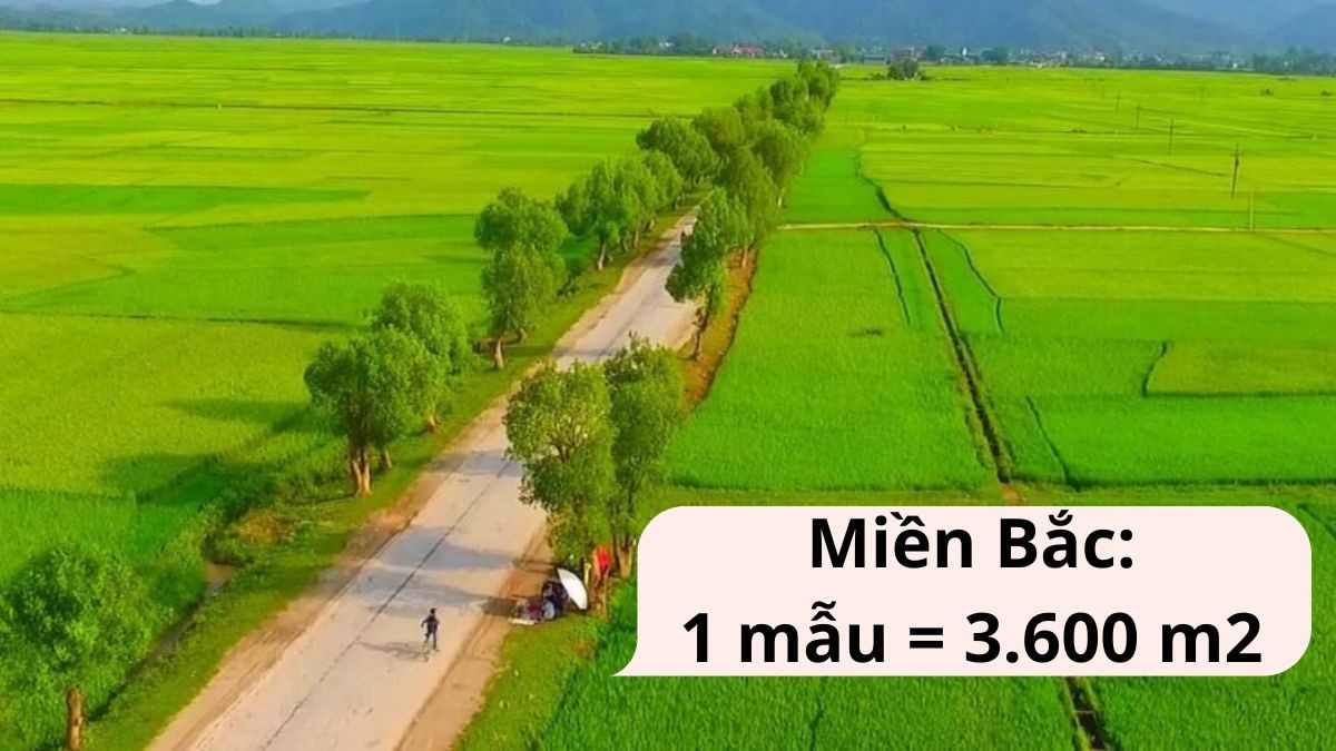 **Một Mẫu Là Bao Nhiêu Mét Vuông? Giải Đáp Chi Tiết Từ Chuyên Gia** **Một Mẫu Là Bao Nhiêu Mét Vuông? Giải Đáp Chi Tiết Từ Chuyên Gia**