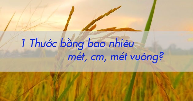 **1 Thước Bằng Bao Nhiêu Mét Vuông? Giải Đáp Chi Tiết Nhất 2024** **1 Thước Bằng Bao Nhiêu Mét Vuông? Giải Đáp Chi Tiết Nhất 2024**