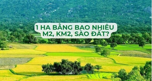 Tính Diện Tích Hình Thang Khi Biết Đáy Lớn, Đáy Bé, Chiều Cao?