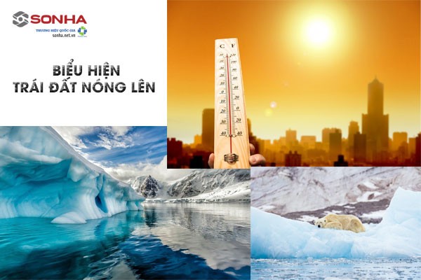 Ngày Nay Các Công Ty Máy Tính Bán Nhiều Gì? Ứng Dụng Nào Phổ Biến?