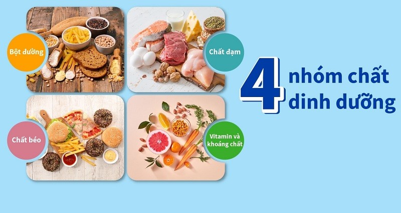 **4 Nhóm Thực Phẩm Chính**: Vai Trò, Lợi Ích Và Cách Bổ Sung Hiệu Quả **4 Nhóm Thực Phẩm Chính**: Vai Trò, Lợi Ích Và Cách Bổ Sung Hiệu Quả