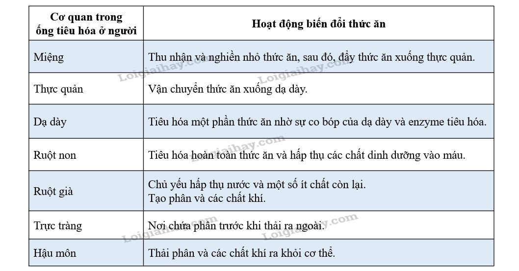 Sự Tích Ông Đùng Bà Đùng: Giải Mã Câu Chuyện Khổng Lồ Về Sông Đà? Sự Tích Ông Đùng Bà Đùng: Giải Mã Câu Chuyện Khổng Lồ Về Sông Đà?