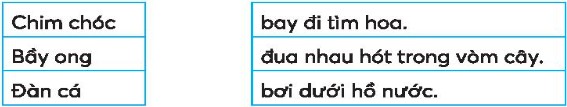 Văn Bản Thông Tin Là Gì? Tìm Hiểu Chi Tiết Và Các Loại Văn Bản