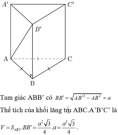 Đặc Điểm Của Hệ Tuần Hoàn Hở Là Gì? Giải Đáp Chi Tiết