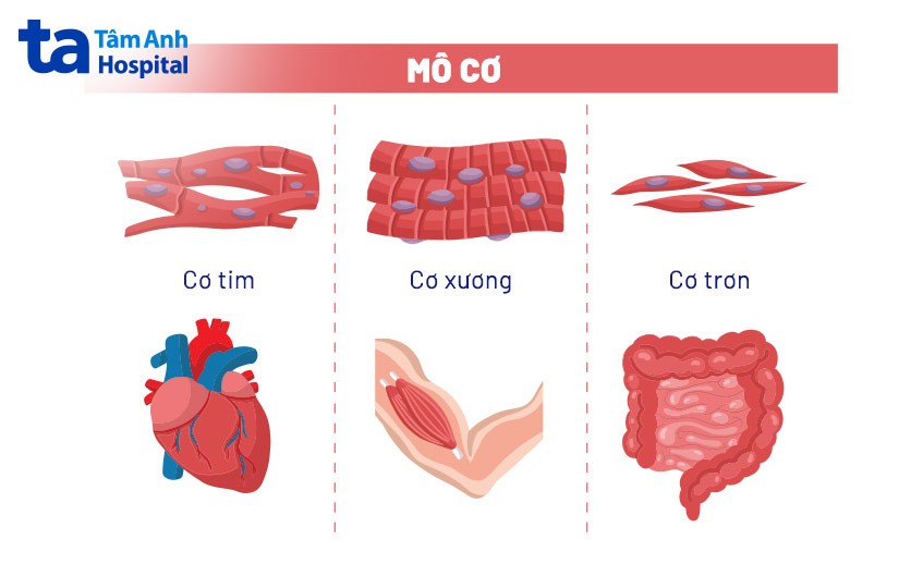 **Xác Định Góc Giữa Mặt Bên và Mặt Đáy: Bí Quyết và Phương Pháp Hiệu Quả**