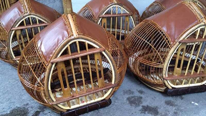 SO2 Có Những Tính Chất Hóa Học Nào? Ứng Dụng Quan Trọng Của SO2