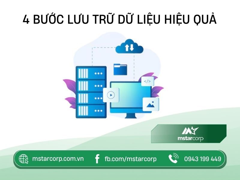 Nguyên Liệu Quang Hợp Là Gì? Vai Trò Và Các Yếu Tố Ảnh Hưởng