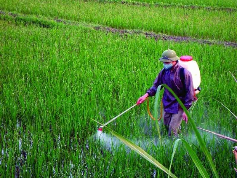 Cho Hình Tam Giác ABC: Giải Bài Tập &amp; Ứng Dụng Thực Tế