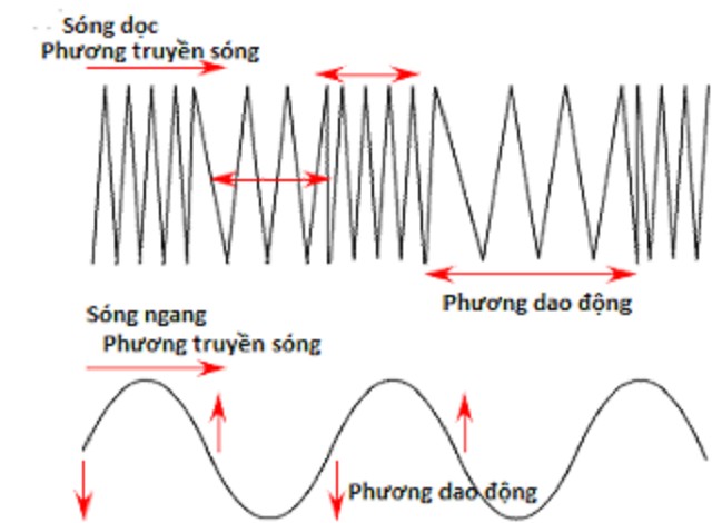 Khi Nói Về Sự Truyền Sóng Cơ Trong Môi Trường, Phát Biểu Nào Đúng?