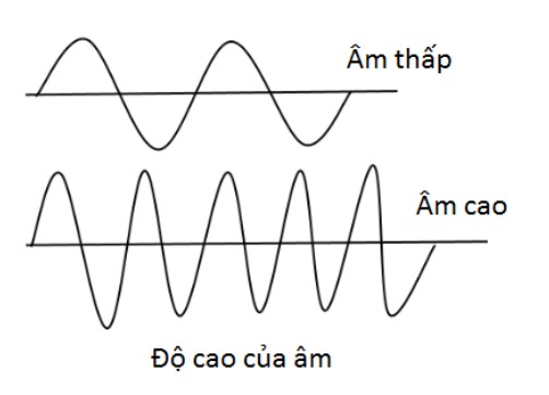 **Sơ Đồ Chuyển Hóa Tinh Bột: Giải Thích Chi Tiết và Ứng Dụng**
