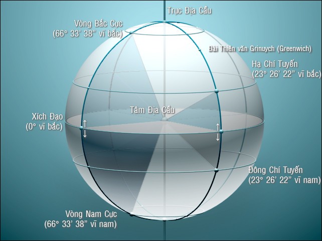 Đặc Điểm Của Các Hình Thức Cảm Ứng Ở Động Vật Là Gì?
