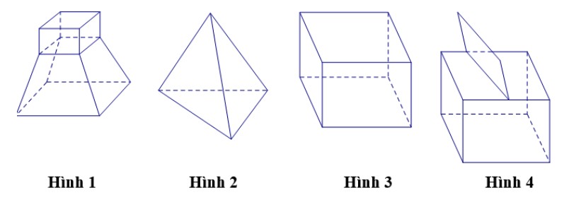 Tiếng Gà Tre Gáy: Âm Thanh Đánh Thức Ký Ức Làng Quê