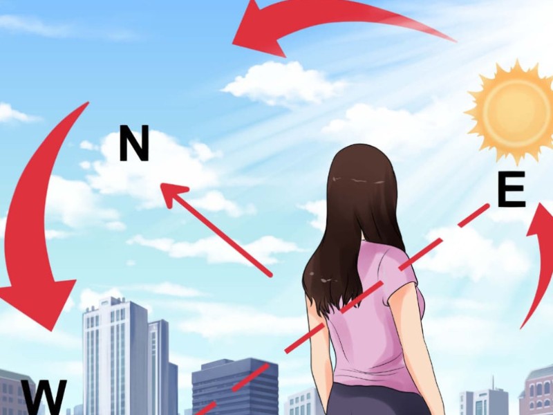 Đột Biến Điểm Gồm Các Dạng Nào? Giải Đáp Chi Tiết Nhất