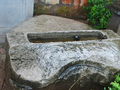 **Bản Tin Ngày Hội Nghệ Sĩ Nhí: Nơi Ươm Mầm Tài Năng Việt Nam**