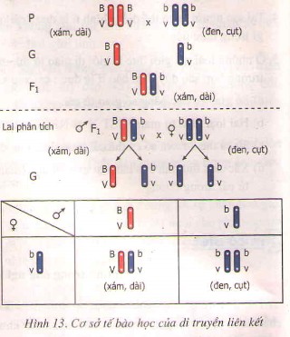 **C2H5Cl: Tất Tần Tật Về Ứng Dụng, Tính Chất Và Điều Chế Tại Việt Nam**