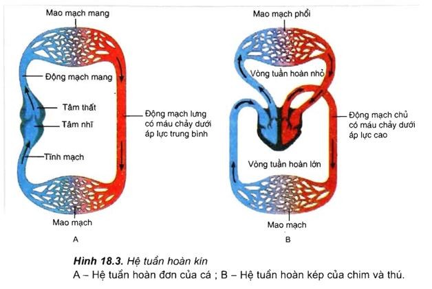 NH4Cl và H2SO4: Phản Ứng, Ứng Dụng và An Toàn Chi Tiết