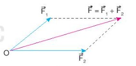 Tính Tích Có Hướng Của Hai Vector Trong Không Gian Như Thế Nào?