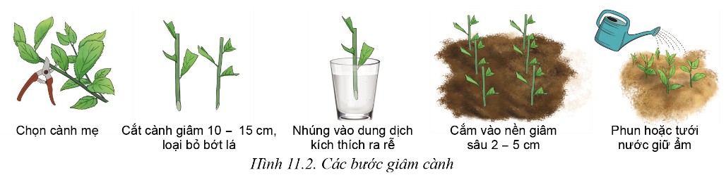 **Bản Vẽ Kĩ Thuật Là Gì? Ứng Dụng Và Tầm Quan Trọng Trong Đời Sống**