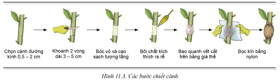**Bản Vẽ Kĩ Thuật Là Gì? Ứng Dụng Và Tầm Quan Trọng Trong Đời Sống**