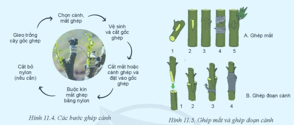 **Bản Vẽ Kĩ Thuật Là Gì? Ứng Dụng Và Tầm Quan Trọng Trong Đời Sống**