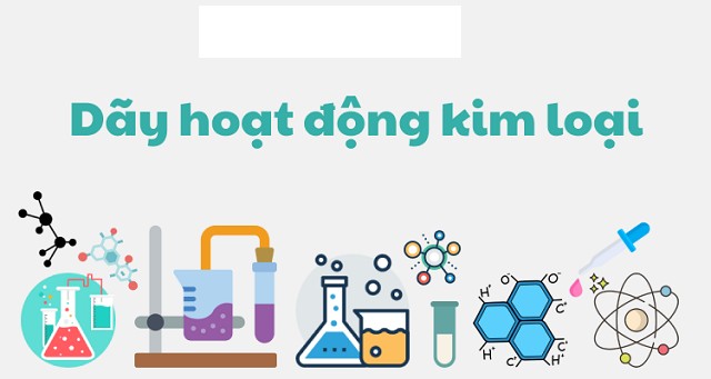Lysosome Là Gì? Cấu Tạo Và Chức Năng Chi Tiết Nhất 2025