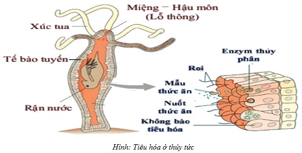Cl2 Molar Mass Là Gì? Cách Tính Khối Lượng Mol Cl2 Chuẩn Xác