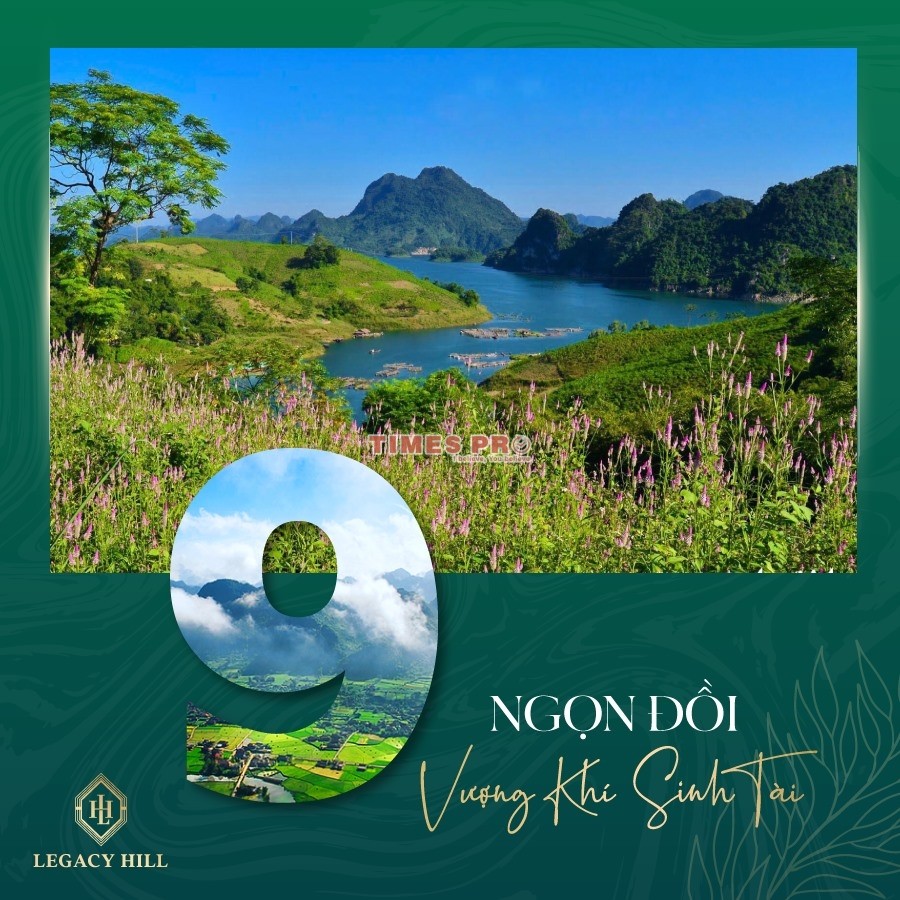 Người Khôn Tìm Chốn Bình Yên: Bí Quyết An Yên Giữa Cuộc Sống Hiện Đại Người Khôn Tìm Chốn Bình Yên: Bí Quyết An Yên Giữa Cuộc Sống Hiện Đại