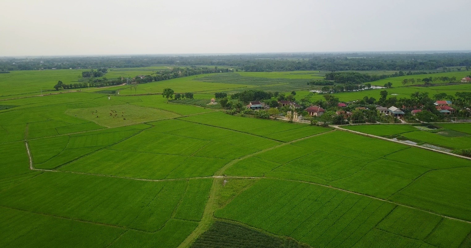 Phát Biểu Nào Sau Đây Không Đúng Với Đặc Điểm Sông Ngòi Nước Ta? Phát Biểu Nào Sau Đây Không Đúng Với Đặc Điểm Sông Ngòi Nước Ta?