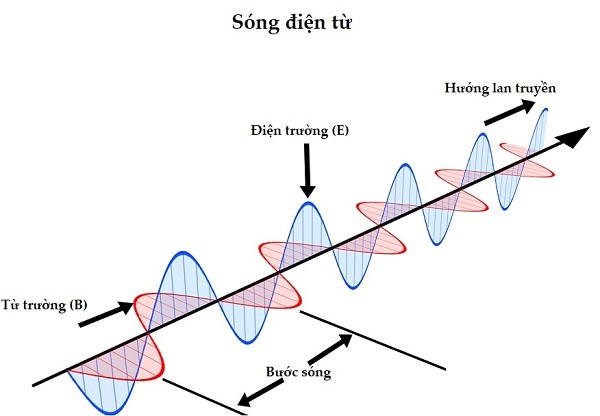 Khi Nói Về Sự Truyền Sóng Cơ Trong Môi Trường, Phát Biểu Nào Đúng?