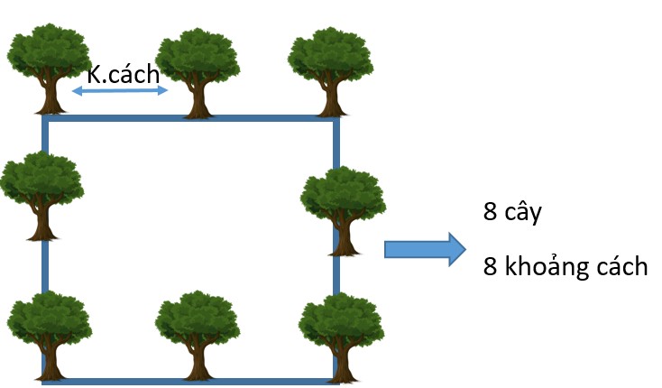 Một Mảnh Vườn Hình Vuông Cạnh 20m: Làm Lối Đi Rộng 2m Quanh Vườn? Một Mảnh Vườn Hình Vuông Cạnh 20m: Làm Lối Đi Rộng 2m Quanh Vườn?