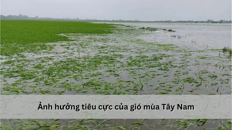 H2SO4 Không Tác Dụng Với Chất Nào? Giải Đáp Chi Tiết Nhất