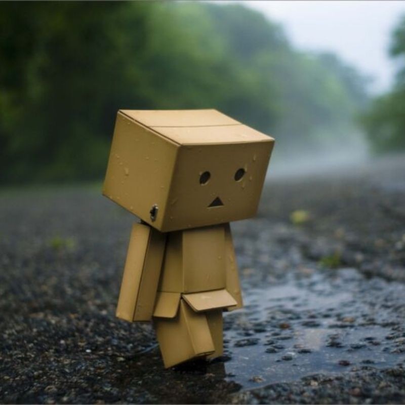 Tìm Ý Chính Của Đoạn Văn Là Gì? Cách Xác Định Hiệu Quả