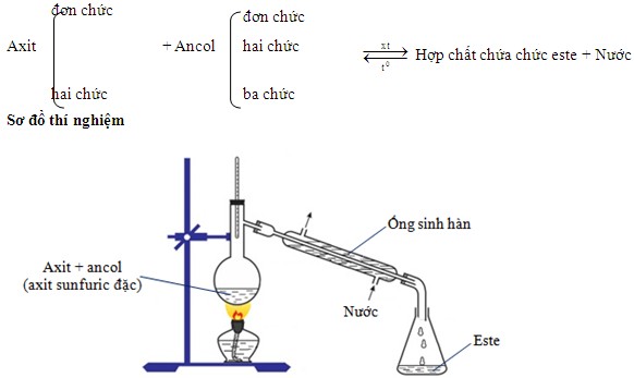**Modern Là Gì?** Khám Phá Định Nghĩa, Đặc Điểm &amp; Ứng Dụng