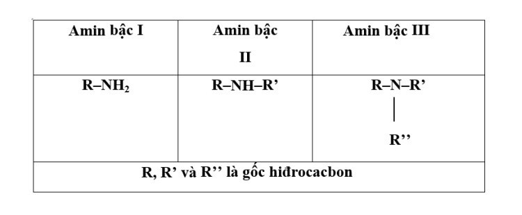 Chất Nào Sau Đây Là Amin Thơm? Giải Đáp Chi Tiết Từ A Đến Z Chất Nào Sau Đây Là Amin Thơm? Giải Đáp Chi Tiết Từ A Đến Z