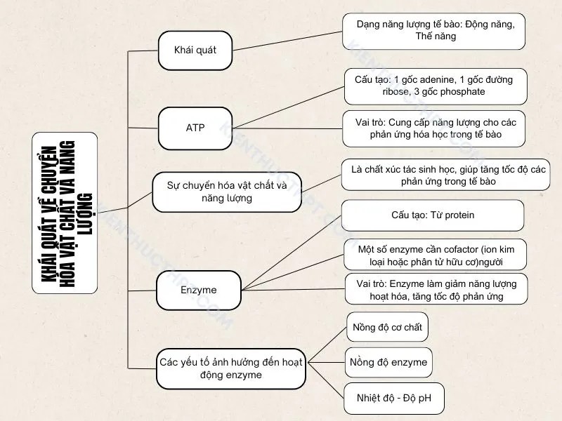 Tôi Đã Học Tập Như Thế Nào? Bí Quyết Thành Công Từ Kinh Nghiệm Cá Nhân