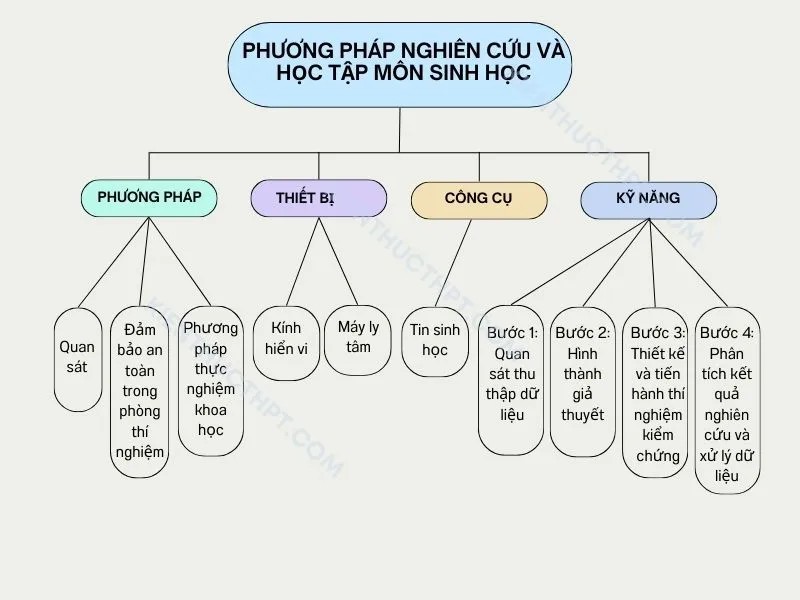Tôi Đã Học Tập Như Thế Nào? Bí Quyết Thành Công Từ Kinh Nghiệm Cá Nhân