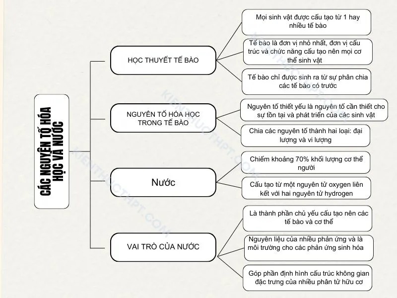 Tôi Đã Học Tập Như Thế Nào? Bí Quyết Thành Công Từ Kinh Nghiệm Cá Nhân