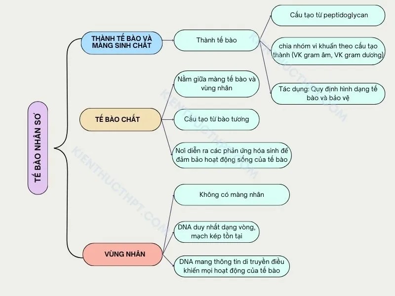 Tôi Đã Học Tập Như Thế Nào? Bí Quyết Thành Công Từ Kinh Nghiệm Cá Nhân