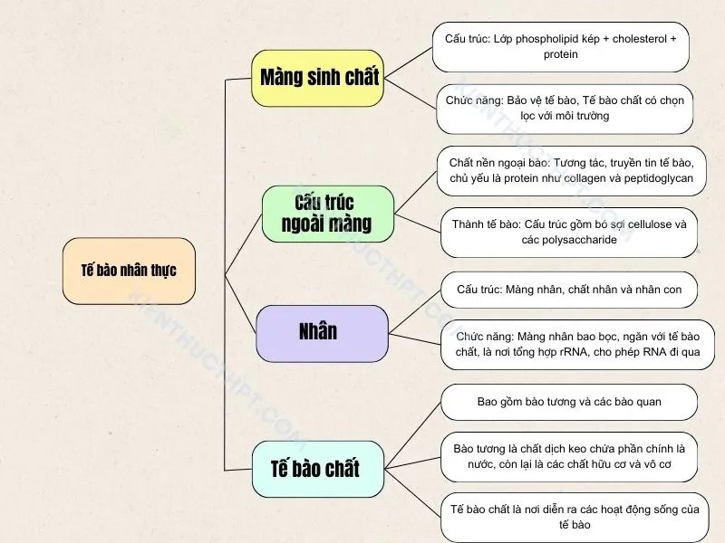Tôi Đã Học Tập Như Thế Nào? Bí Quyết Thành Công Từ Kinh Nghiệm Cá Nhân