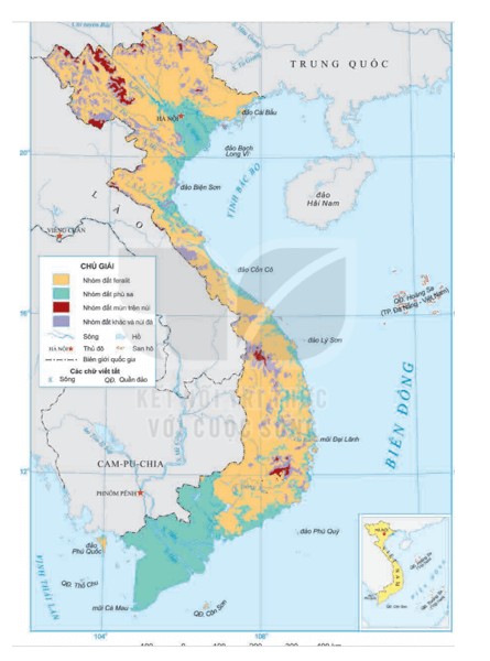 Loại Đất Nào Chiếm Diện Tích Lớn Nhất Nước Ta Hiện Nay? Loại Đất Nào Chiếm Diện Tích Lớn Nhất Nước Ta Hiện Nay?